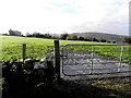 Muddy field, Drumnaforbe