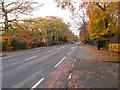 Hookstone Drive - viewed from St Leonard