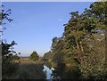 Broadmead Cut in November: the view from the Tanyard Bridge