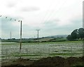 Farmland between the M1 and Sandy Lane on the south-western outskirts of Belfast