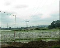 J2966 : Farmland between the M1 and Sandy Lane on the south-western outskirts of Belfast by Eric Jones