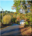 Country road near Graffham (5)