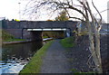 Dog Lane Bridge and the Dudley No.2 Canal