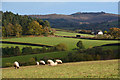 Teignbridge : Countryside Scenery