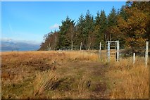 NS4179 : Gate in fence by Lairich Rig