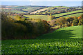 Teignbridge : Countryside Scenery