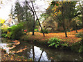 Autumn colours at Law Mill