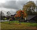 West Pitt Farm Fishery