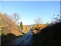 View down Banesley Lane