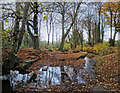 Stepping Stones, Skegby