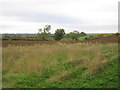 Fields below Slapton Hill