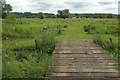 Avon floodplain near Burgate