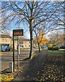 Lichfield Road: bus stop and autumn leaves