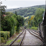 SJ2142 : Railway north-west of Llangollen in Denbighshire by Roger  D Kidd