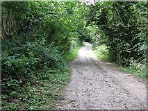 TQ3056 : Path through Devilsden Wood by Dr Neil Clifton