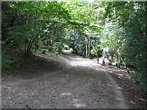 TQ3056 : Path through Devilsden Woods by Dr Neil Clifton
