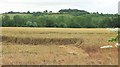 Avon valley near Great Durnford