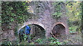 Ruined mill building in Summer House Wood