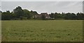 House across a field