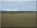 Wolds farmland