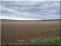 Wolds farmland near Octon Grange