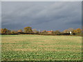 High Brecks Farm