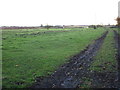 Field near Goodhouses Farm