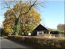 SO8742 : Trees beside Earl's Croome village hall by Philip Halling