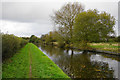 The Staffordshire & Worcestershire Canal near Brinsford