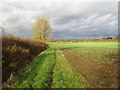 Footpath to Retford Road