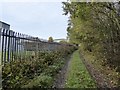 Track between Bradwell Woods and High Carr Business Park