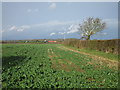 View towards Cowsland Farm