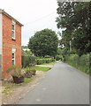 Road near Netton