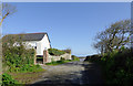 Lane to Milford in Devon