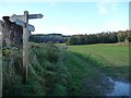 SD3778 : Footpath and bridleway junction, near Seven Acres by Christine Johnstone