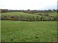 View across Ruscombe