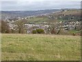 View from Selsley Common