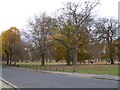 TQ2975 : Trees by Rookery Road, Clapham Common by David Smith