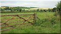 Field, Salterton