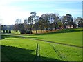 Playing fields near Wollaston