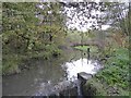 Pool near the bottom of Bradwell Woods