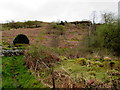 Hillside public footpath, Melincourt