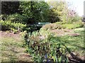 Alexandra Park - stream and footbridge