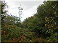 Communications mast on Craig-y-dorth