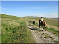 SD8182 : Horses  on  the  Pennine  Bridleway by Martin Dawes