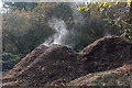 Steaming Compost, Trent Park, Enfield