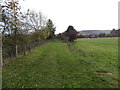 Path of Disused Railway Line