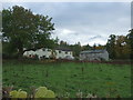 NY5323 : Grazing and houses, Lowther by JThomas