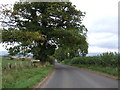 NY5424 : Minor road towards Melkinthorpe by JThomas
