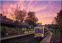 J3373 : Train, Botanic Station, Belfast by Rossographer